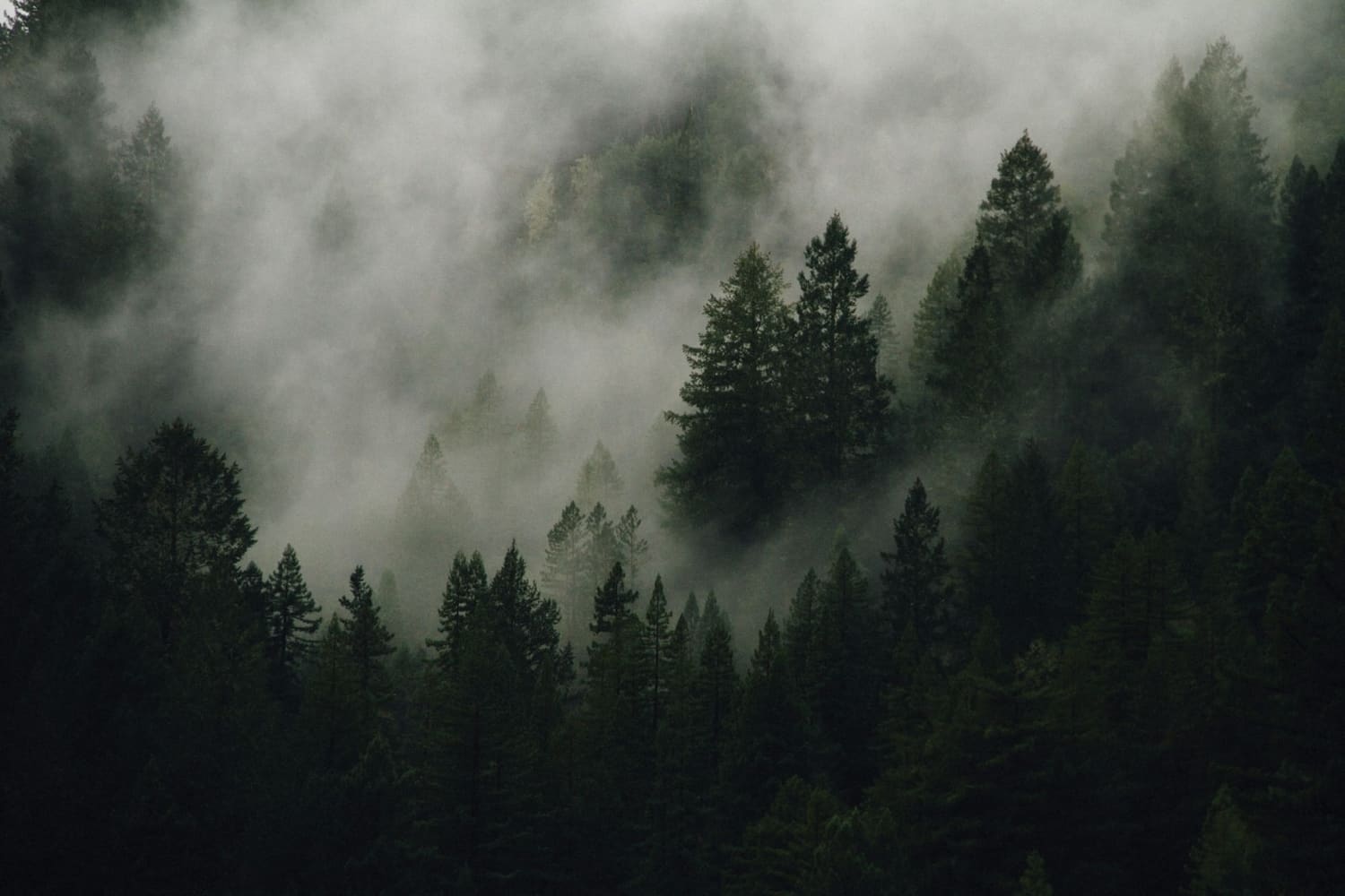 Recognising burnout before it runs you