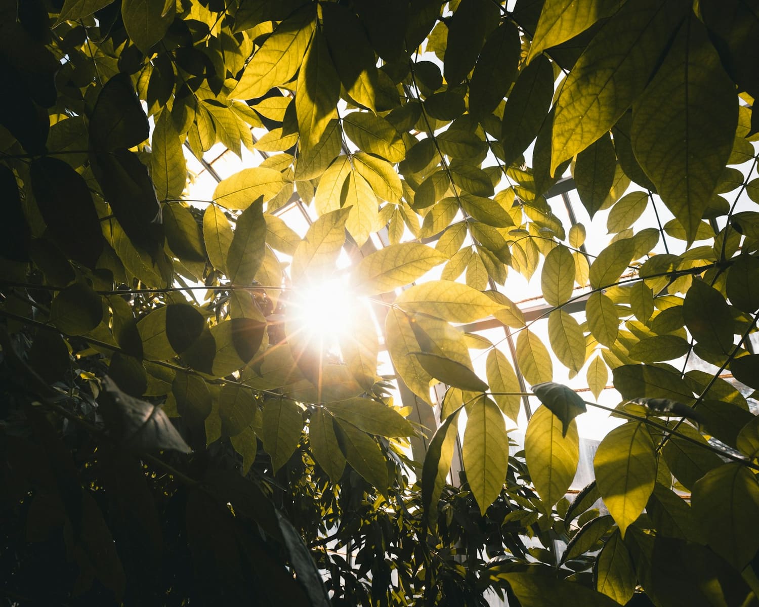Belonging, identity, and the systems around us