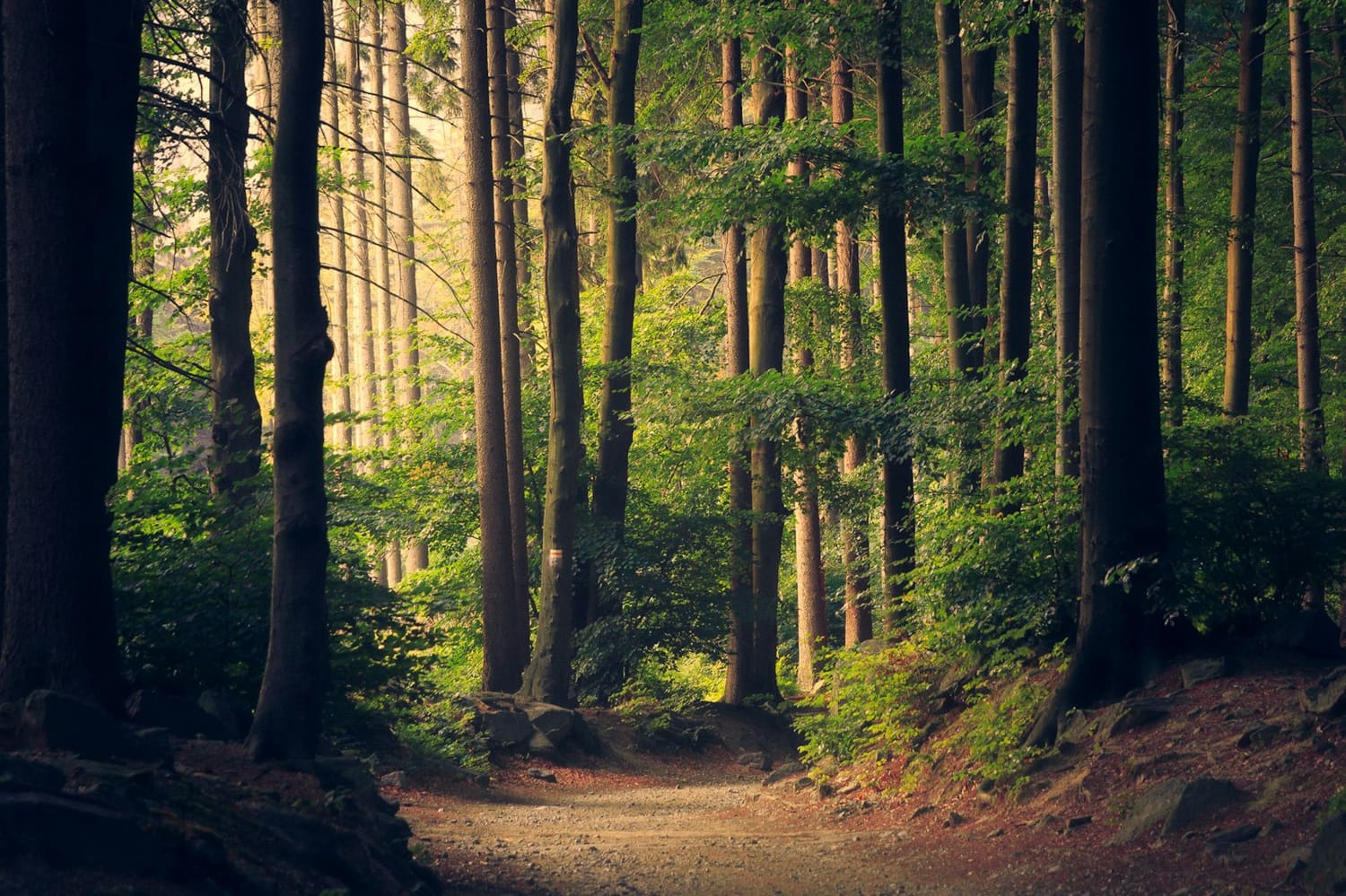Moving through life transitions with intention